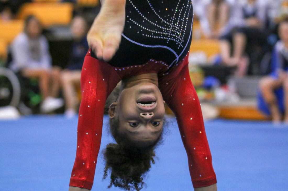 LHS gymnastics claims 2nd at Sunflower League, FSHS places 3rd News